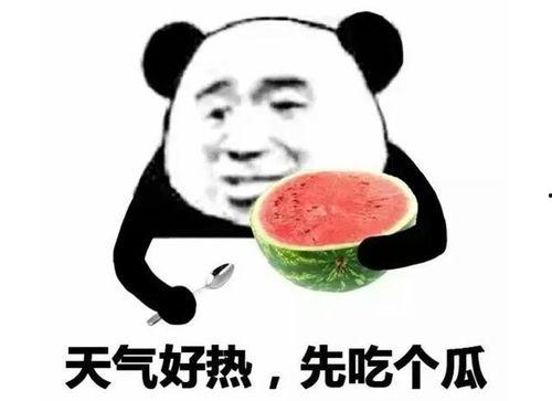 吃瓜表情包有3,揭秘网络文化的趣味与魅力